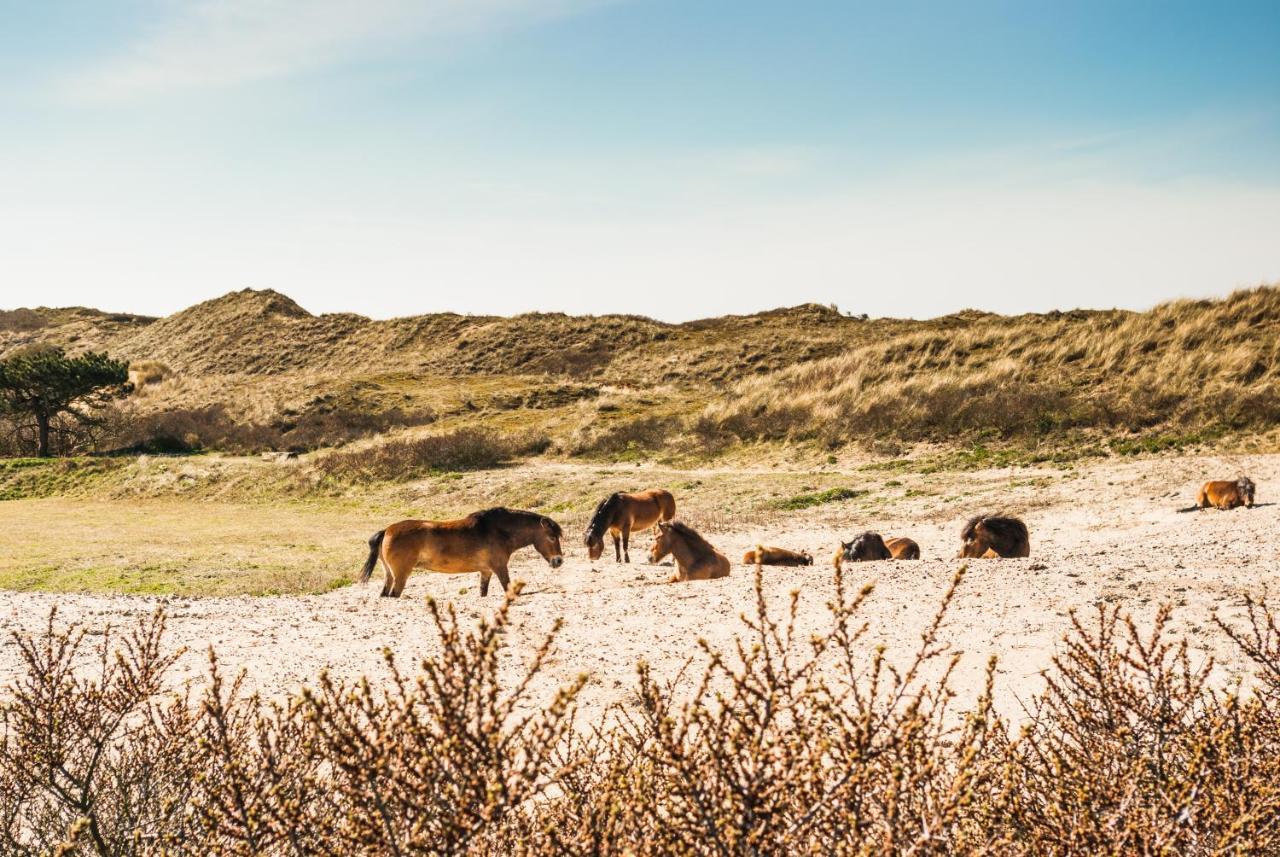 Villa De Bollenschuur Egmond aan Zee Exterior foto